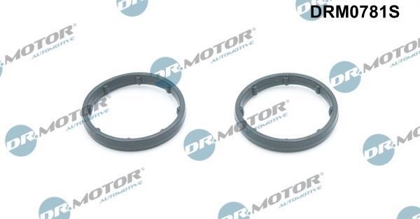 Joint, radiateur d'huile Lizarte, S.A. ref. DRM0781S
