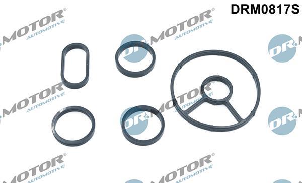 Kit de joints, radiateur d'huile Lizarte, S.A. ref. DRM0817S