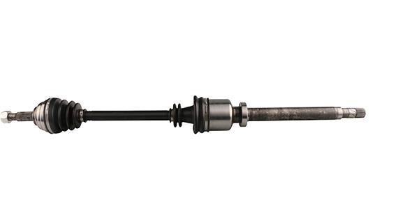 Cardan Lizarte, S.A. ref. DS0303
