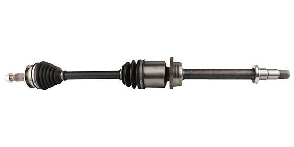 Cardan Lizarte, S.A. DS0901