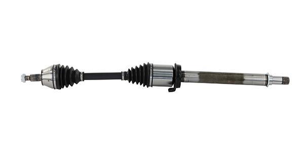 Cardan Lizarte, S.A. DS1255
