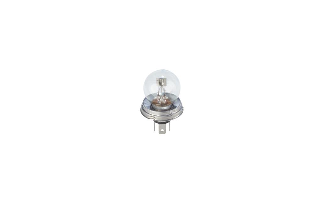 Ampoule BOSCH 1 ✕ R2 Pure Light WS - 1 987 302 023