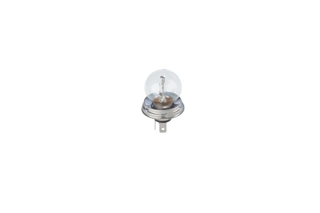 Ampoule BOSCH 1 ✕ R2 Pure Light WS - 1 987 302 023
