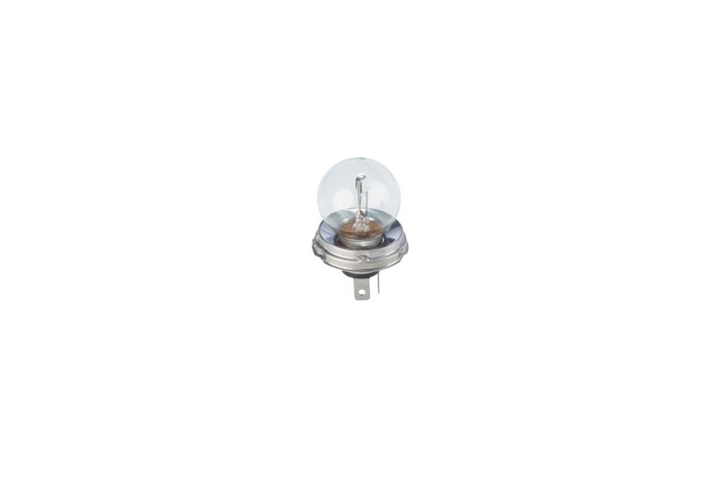 Ampoule BOSCH 1 ✕ R2 Pure Light WS - 1 987 302 023