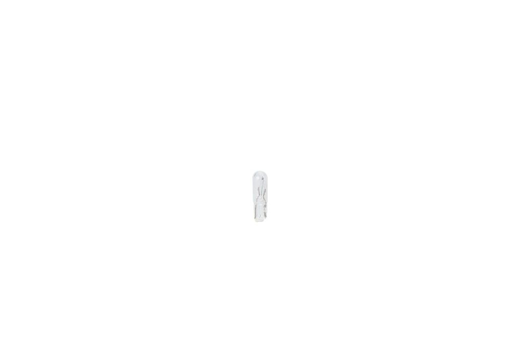 Ampoule BOSCH 2 ✕ W2,3W - ref. 1 987 301 024