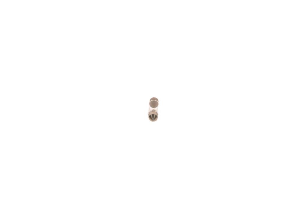 Ampoule BOSCH 10 ✕ C5W - ref. 1 987 302 211