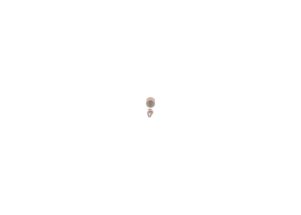 Ampoule BOSCH 10 ✕ C5W - ref. 1 987 302 211