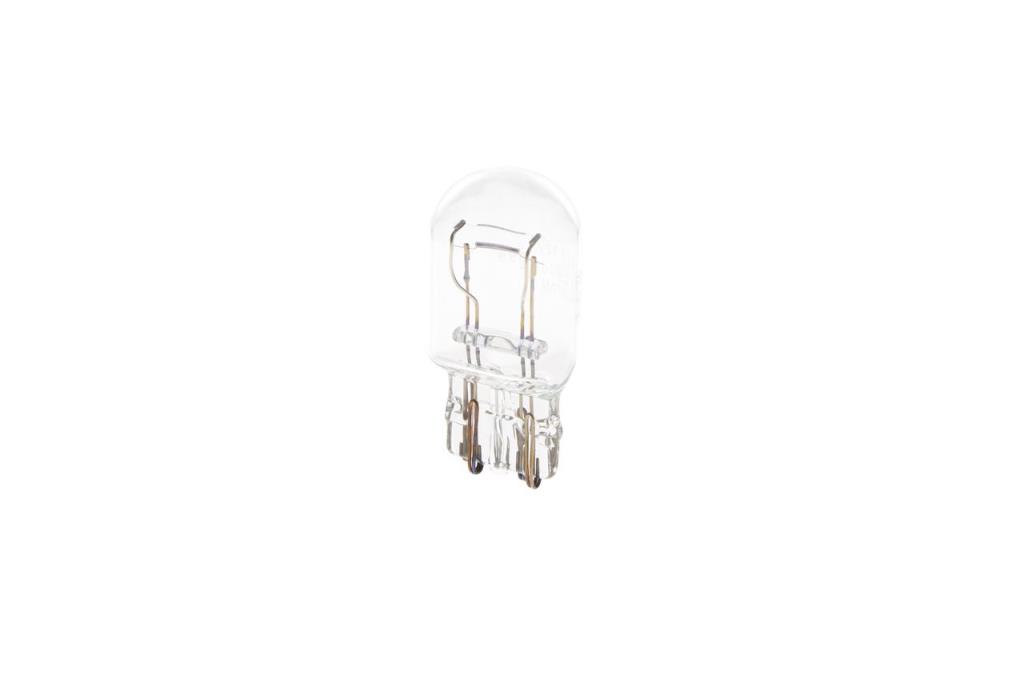 Ampoule BOSCH 10 ✕ W21/5W - ref. 1 987 302 252