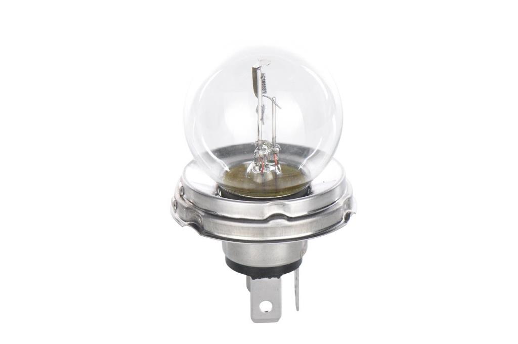 Ampoule BOSCH 1 ✕ R2 Trucklight - 1 987 302 421