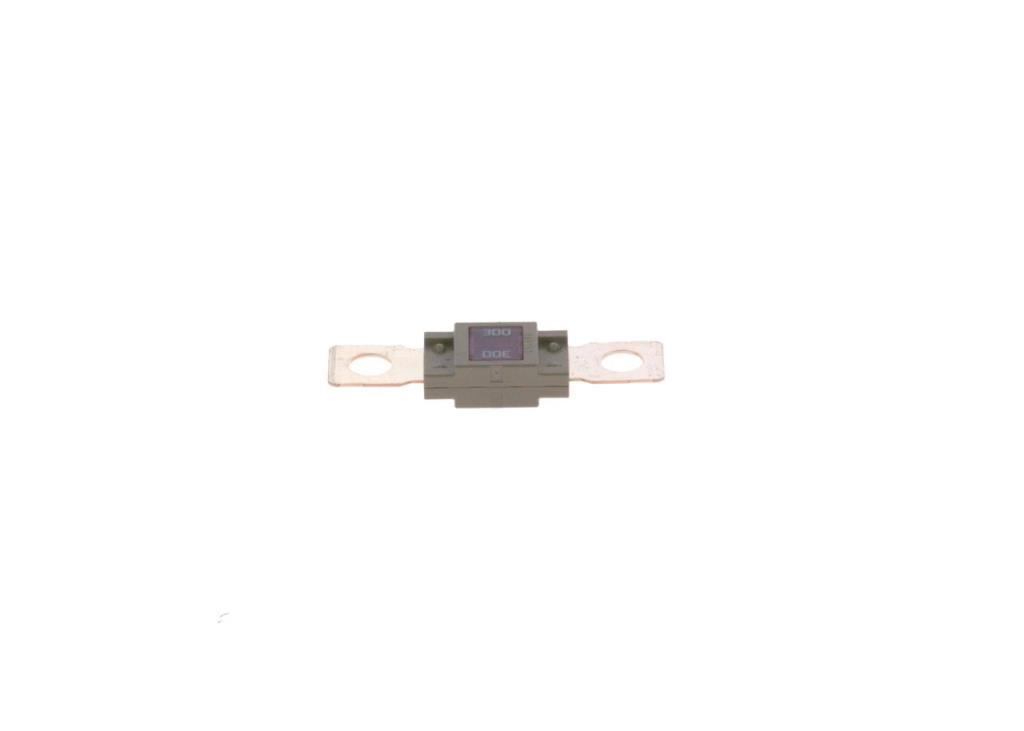 Fusible (de voiture) BOSCH 1 987 531 007