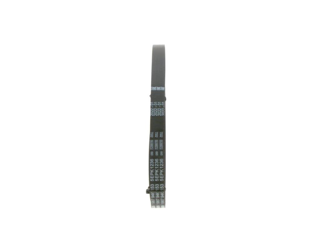 Correia trapezoidal estriada BOSCH ref. 1 987 946 153