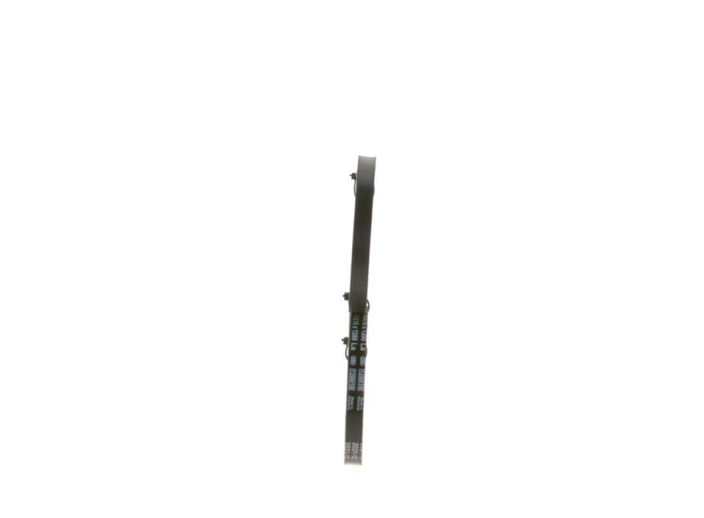 Correa trapezoidal nervada BOSCH ref. 1 987 947 646