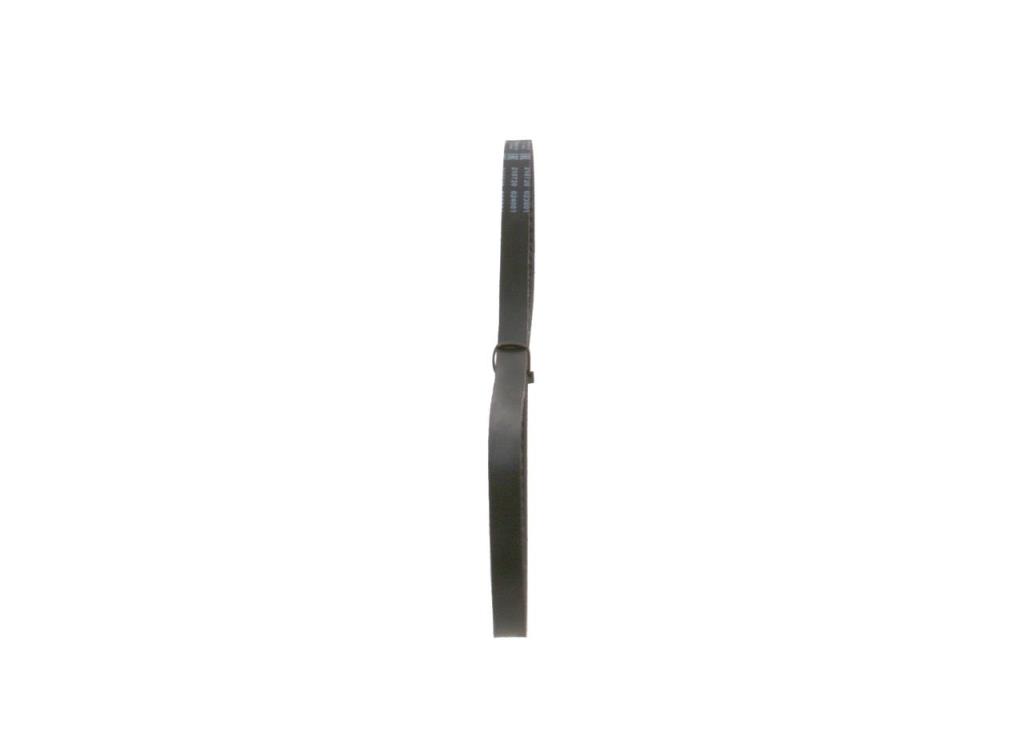 Correa trapezoidal nervada BOSCH ref. 1 987 947 648