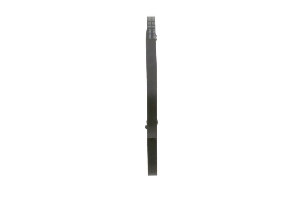 Correa trapezoidal nervada BOSCH ref. 1 987 947 667
