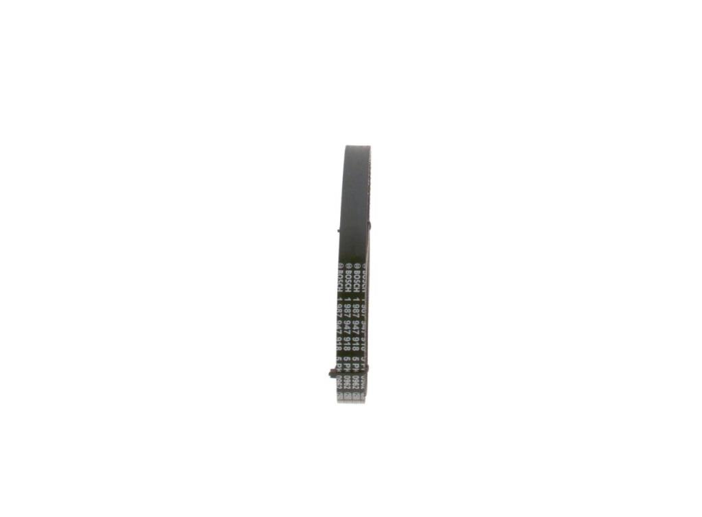 Courroie trapézoïdale à nervures BOSCH ref. 1 987 947 918
