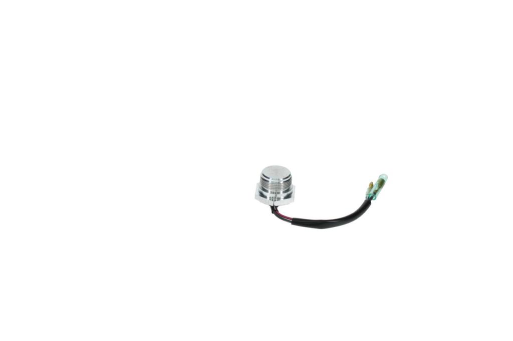 Centrale clignotante BOSCH ref. 9 411 613 673