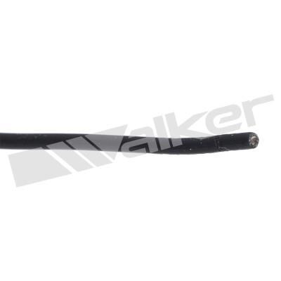 Sonde lambda (Sonde à oxygène) Walker Products Inc. ref. 250-21000