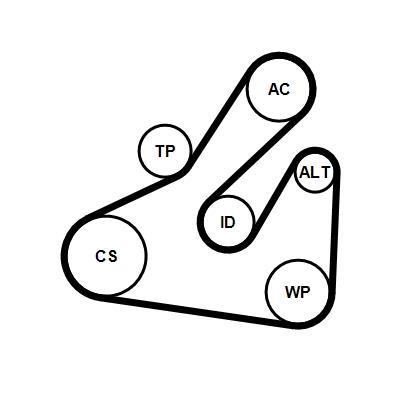 Kit de correias trapezoidais estriadas CONTITECH 5PK1745K1