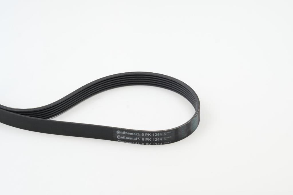 Courroie trapézoïdale à nervures CONTITECH ref. 6PK1244