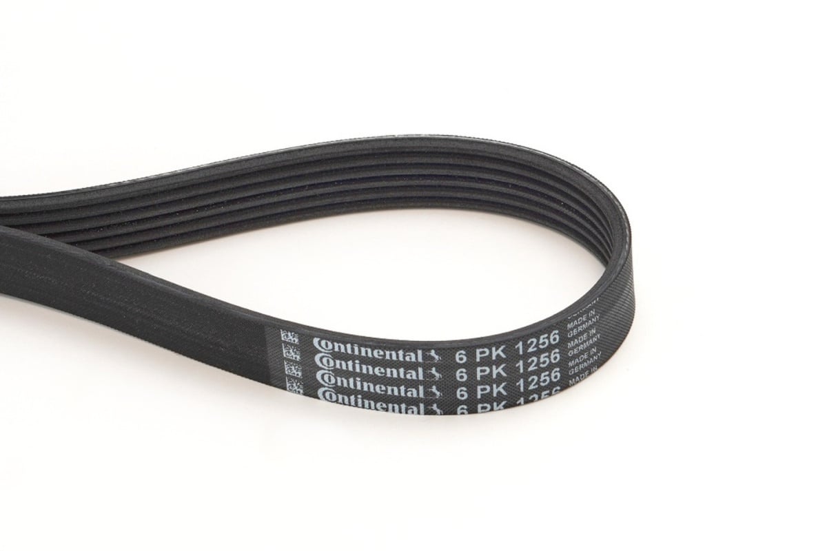 Correia trapezoidal estriada CONTITECH ref. 6PK1256