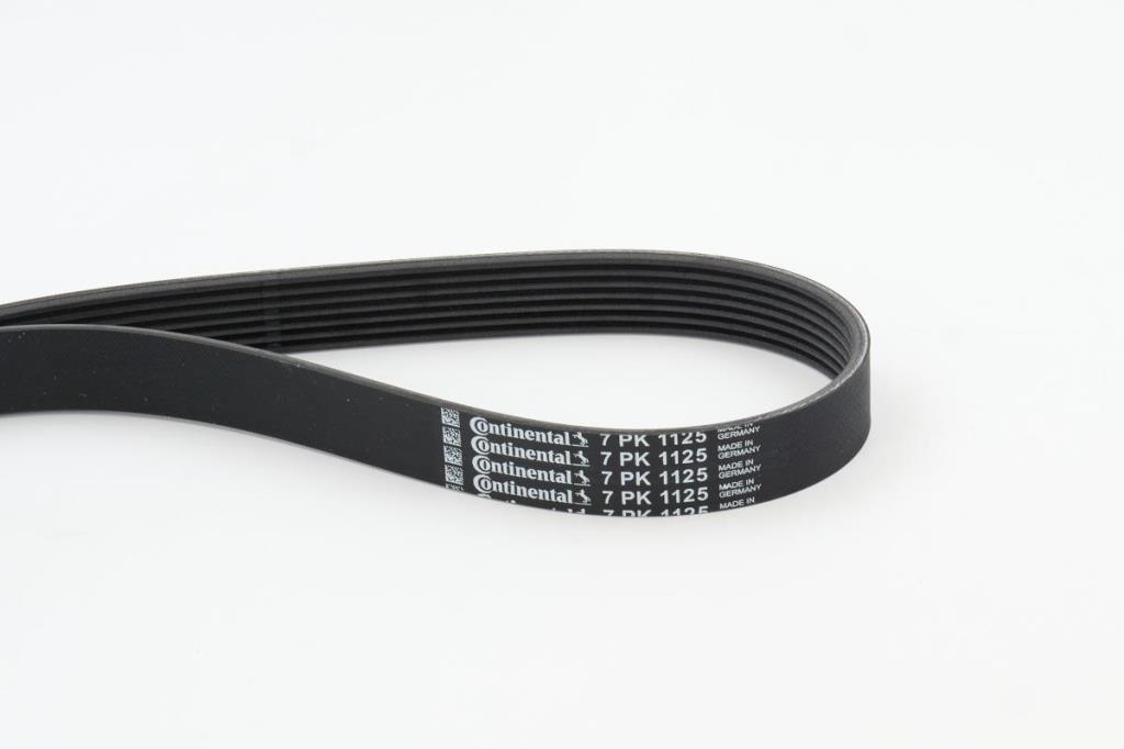 Courroie trapézoïdale à nervures CONTITECH 7PK1125