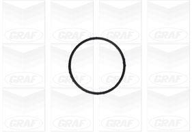 Pompe à eau GRAF PA1155