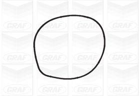 Pompe à eau GRAF PA1214