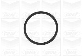 Pompe à eau GRAF PA1256
