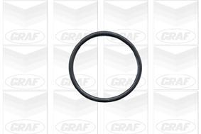 Pompe à eau GRAF ref. PA432A