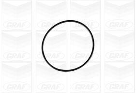 Pompe à eau GRAF PA662