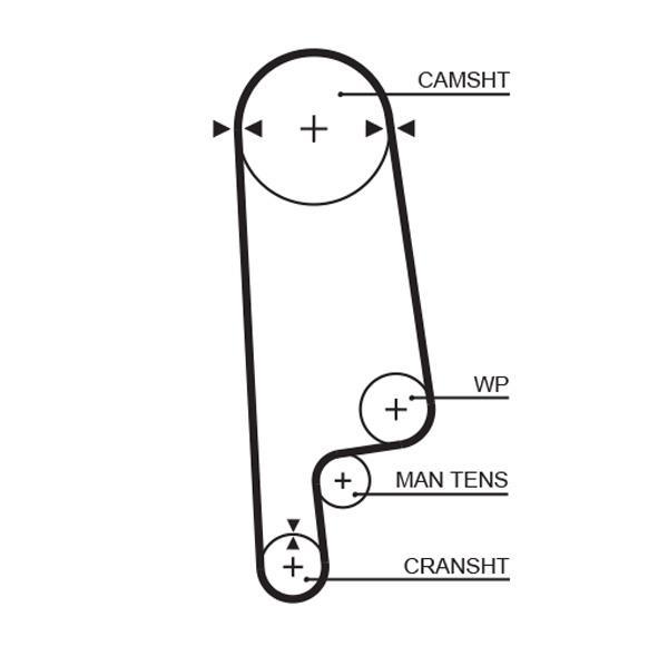 Courroie de distribution (Courroie crantée) GATES ref. 5084XS