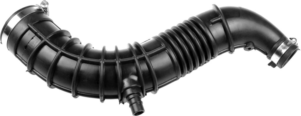 Butée hydraulique Coupé