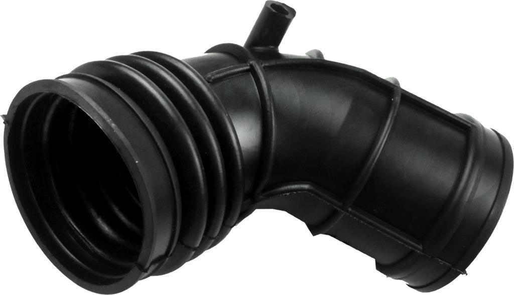 Butée hydraulique Coupé