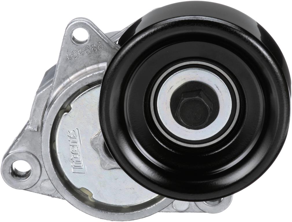 Tensor de correa, correa poli V GATES T38284