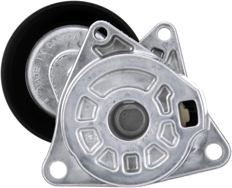 Tensor de correa, correa poli V GATES T38284