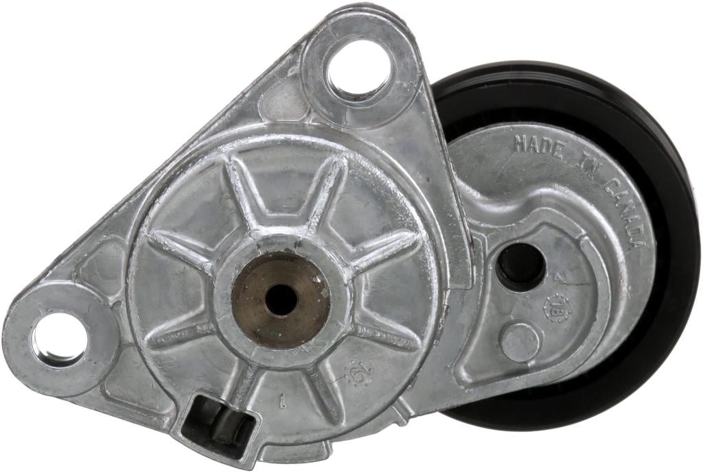 Tensor de correa, correa poli V GATES T38328