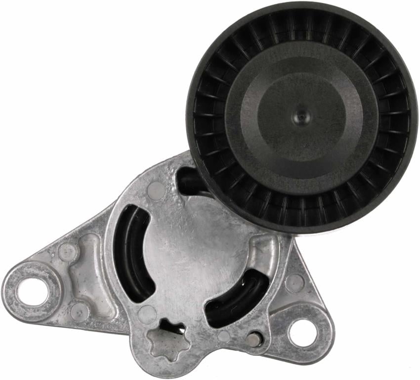 Tensor de correa, correa poli V GATES T39454