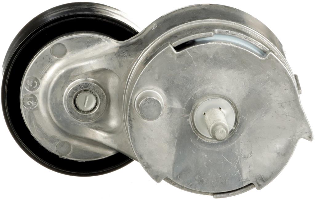Tensor de correa, correa poli V GATES T39496