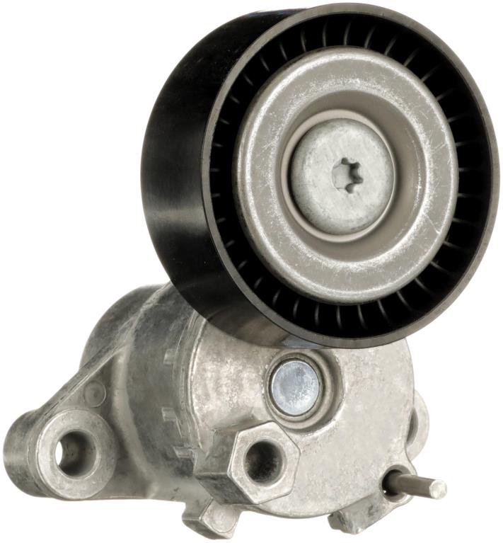 Tensor de correa, correa poli V GATES T39592