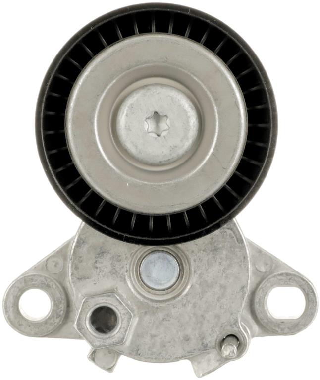 Tensor de correa, correa poli V GATES T39592