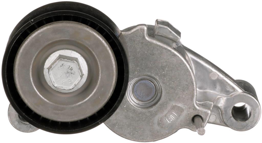Tensor de correa, correa poli V GATES T39595