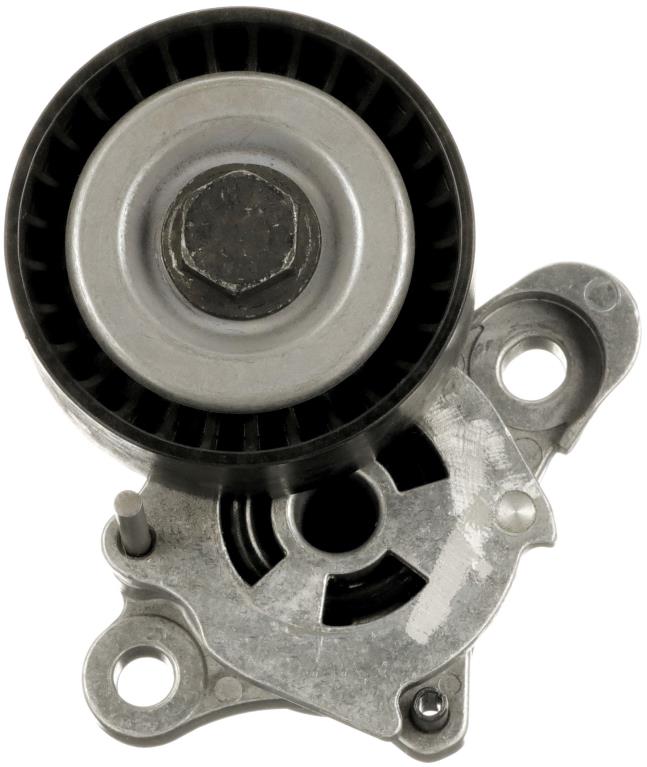 Tensor de correa, correa poli V GATES T39603