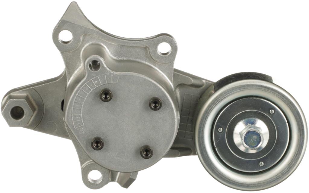 Tensor de correa, correa poli V GATES T39606