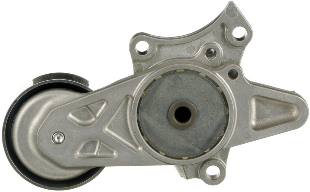 Tensor de correa, correa poli V GATES T39606