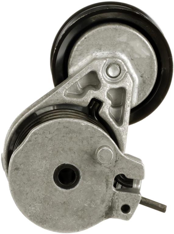 Tensor de correa, correa poli V GATES T39614