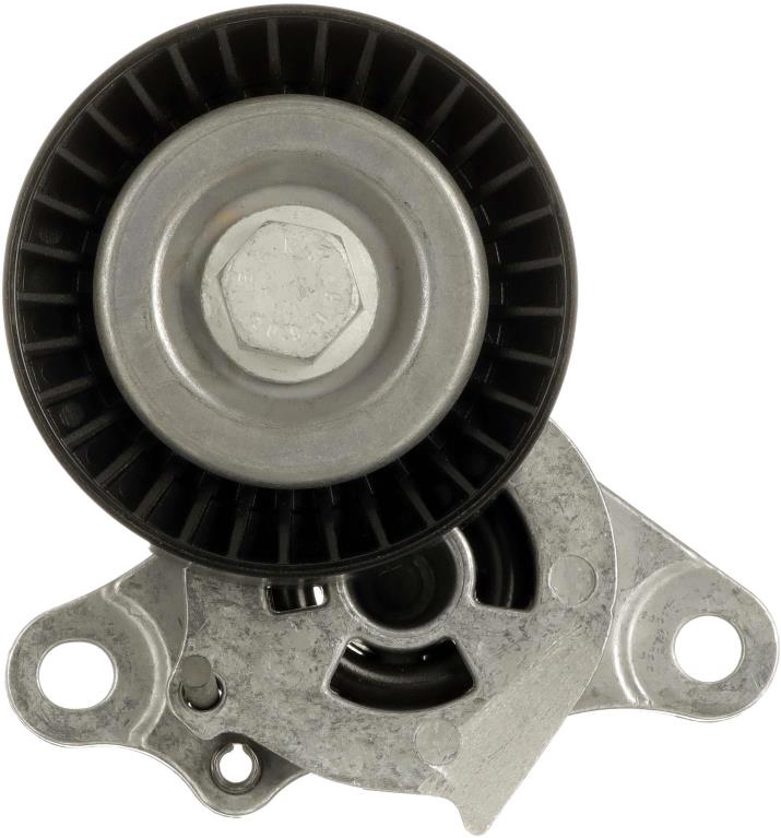Tensor de correa, correa poli V GATES T39639