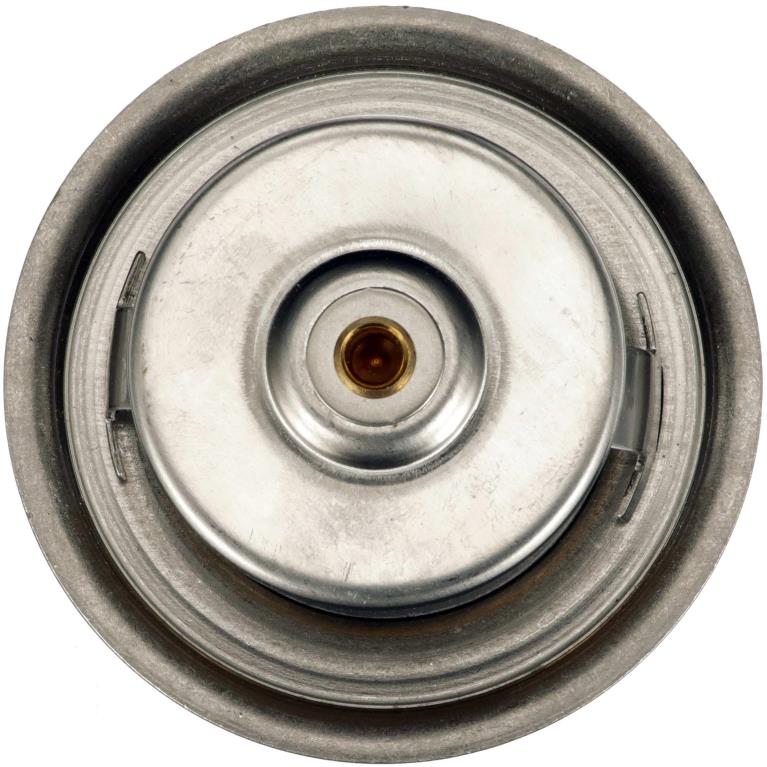 Thermostat d'eau (Calorstat) GATES TH01982G1