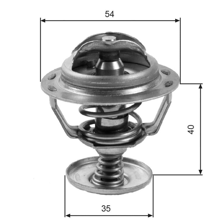 Thermostat d'eau (Calorstat) GATES TH06082G1