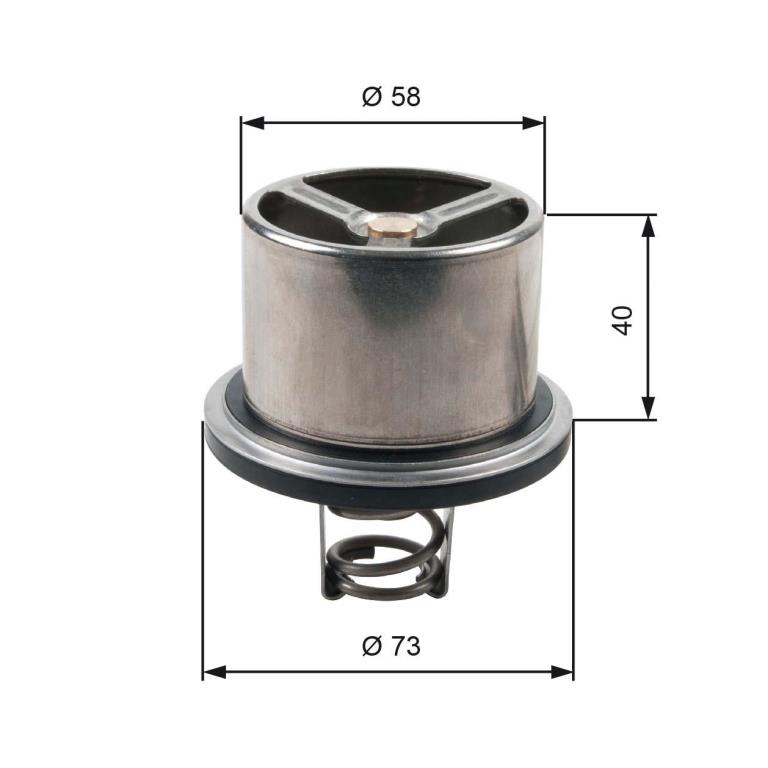 Thermostat d'eau (Calorstat) GATES TH07882