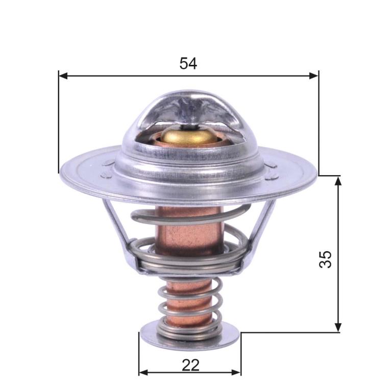 Thermostat d'eau (Calorstat) GATES TH22689G1